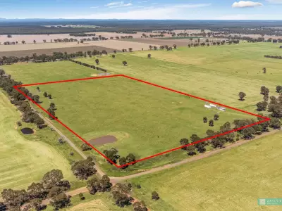 Murray G testimonial image