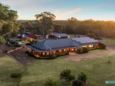 Nicky D testimonial image