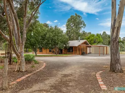 Shelana A testimonial image