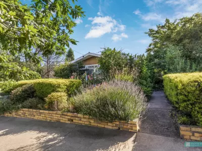 Tiana W testimonial image