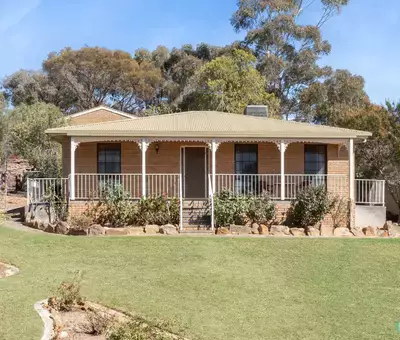 Coral S testimonial image