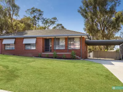 paul m testimonial image