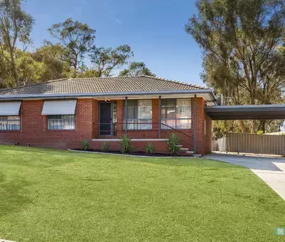 paul m testimonial image