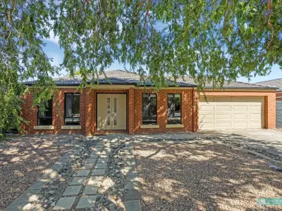 Haydn B testimonial image