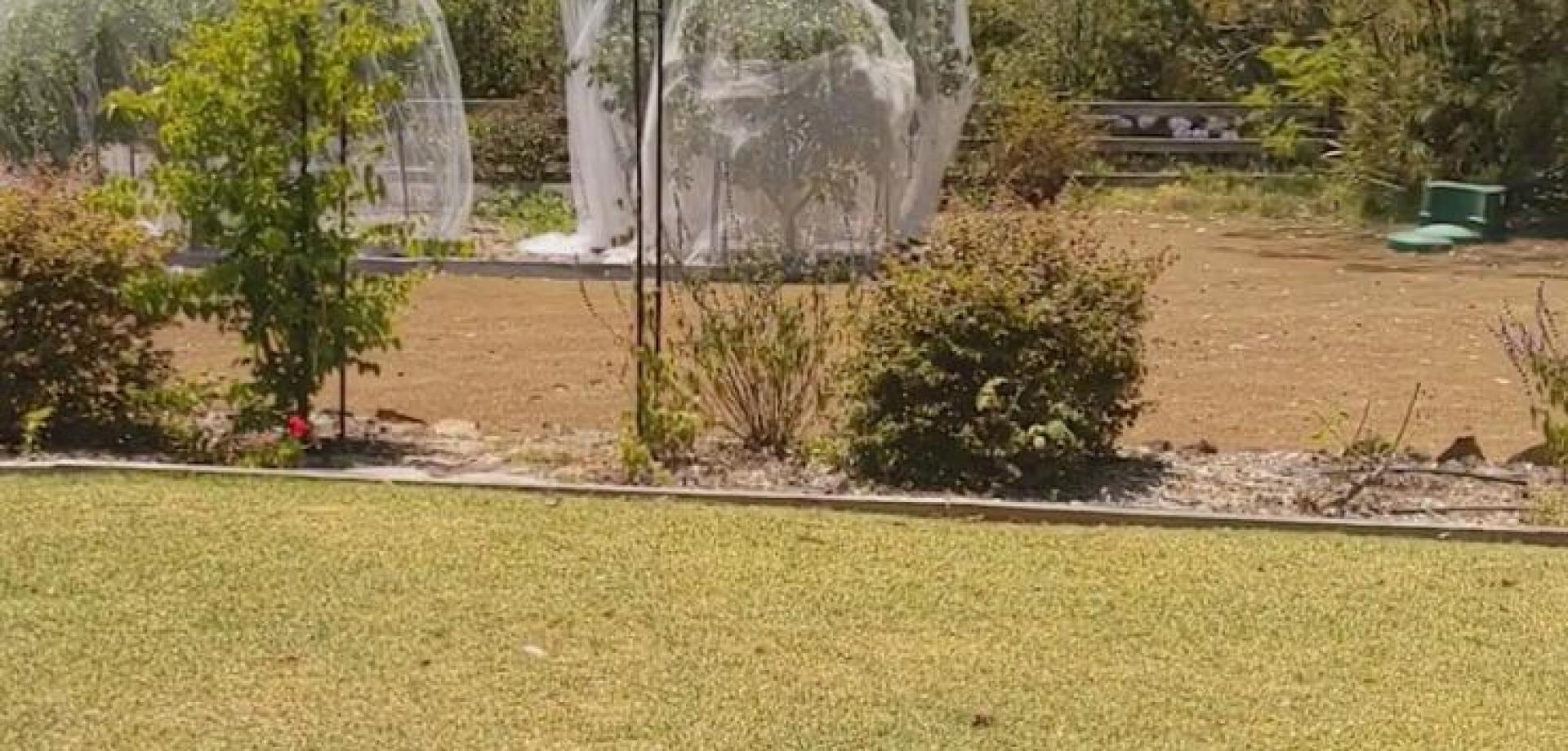 Granny Flats for Rent Rent a Granny Flat Find a Tenant Leased