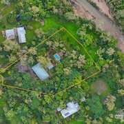 Buyer of a House in Alice River