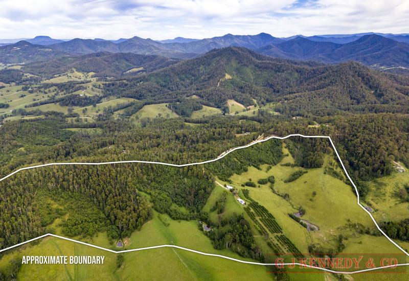 Established Rural Property - Your Opprtunity for Perfect Farm Life with Income Potential