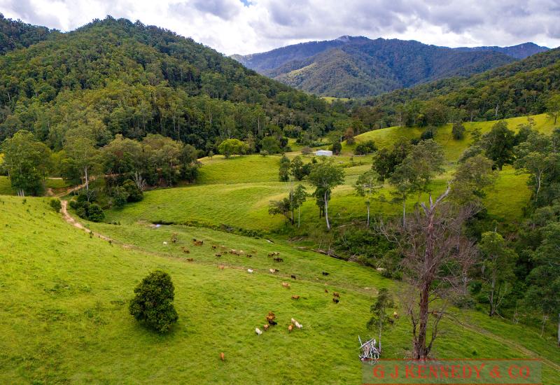 Incredible Value, Incredible Property!