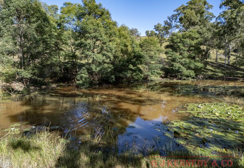 Peace, Privacy & 150 Acres of Potential!