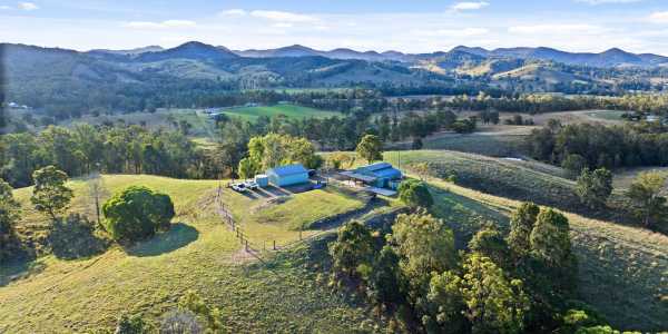 Kim S testimonial image