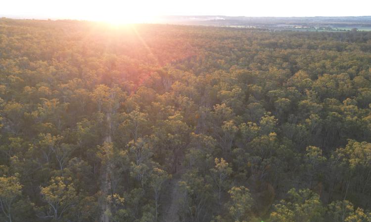 A Private Country Escape | 121 Acres of Natural Bushland