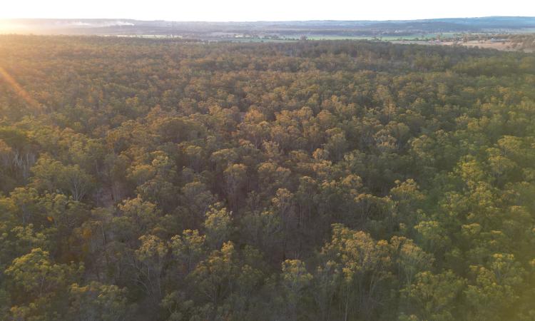 A Private Country Escape | 121 Acres of Natural Bushland