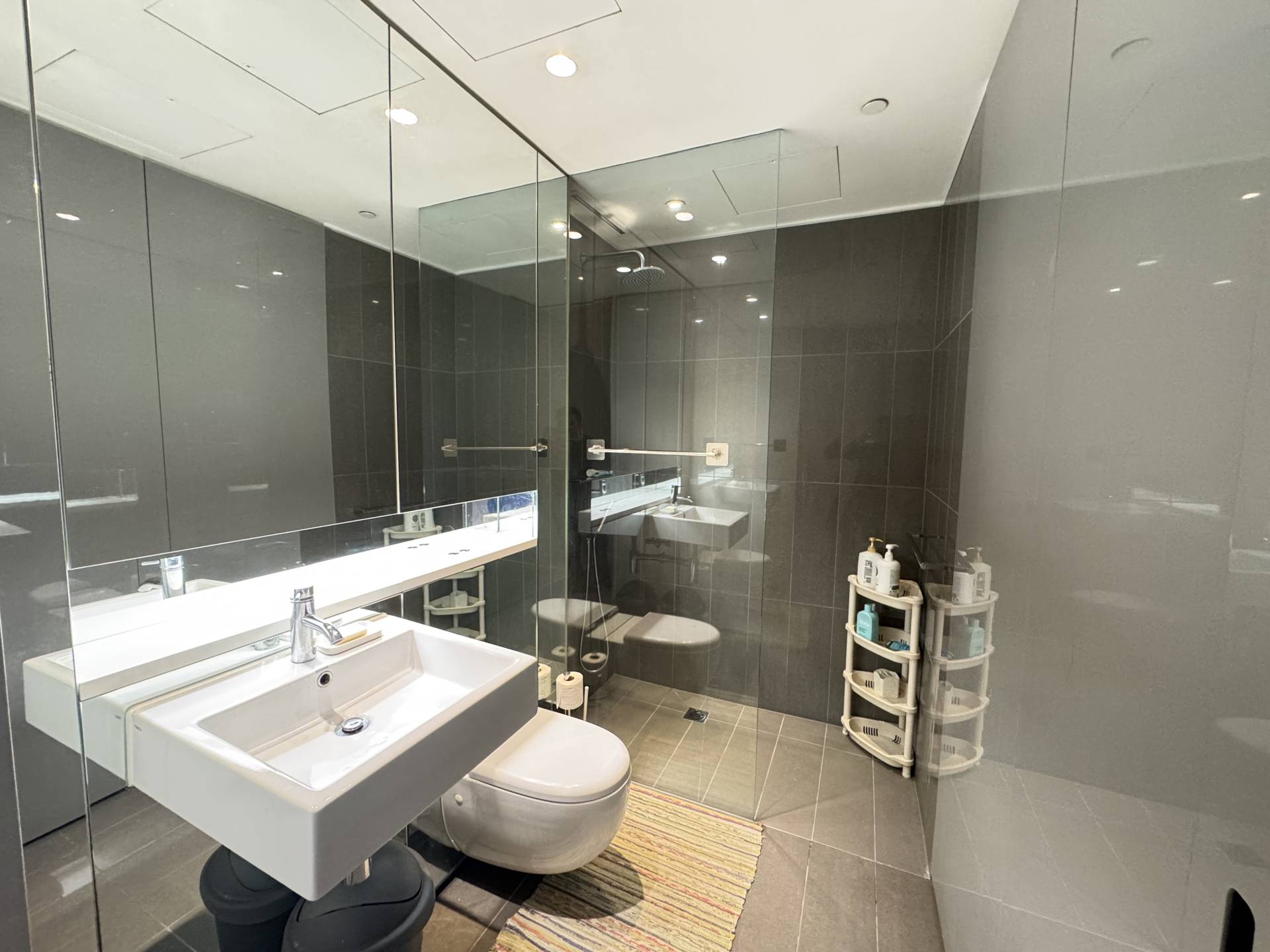 8 Park Lane, Chippendale - Thumbnail 4