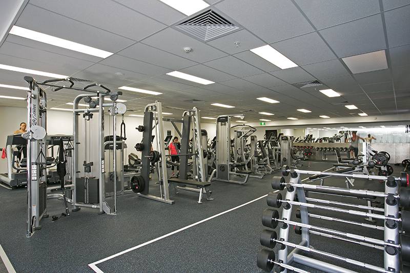 8 Park Lane, Chippendale - Thumbnail 6