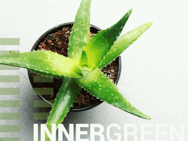 Go Green with Greencliff Indoor plants