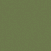 Olive green colour swatch