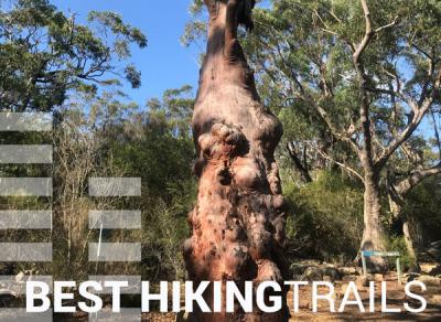 Go Green with Greencliff best hiking trails outskirts Sydney