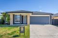 Investment Or Forever Home?