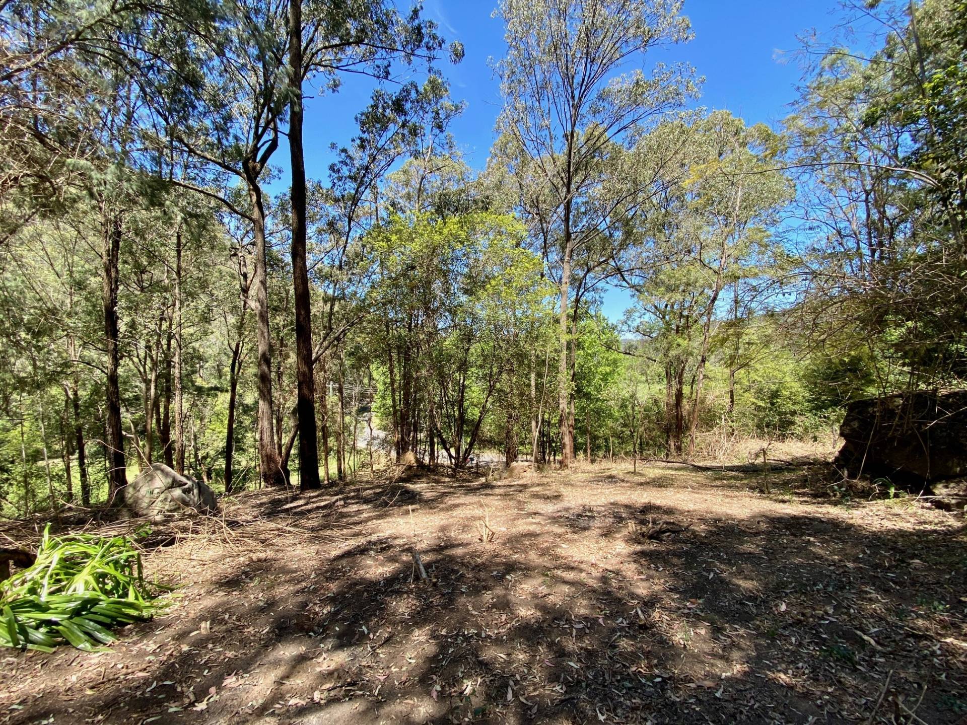 50 Settlers Rd, Wisemans Ferry - Thumbnail 3