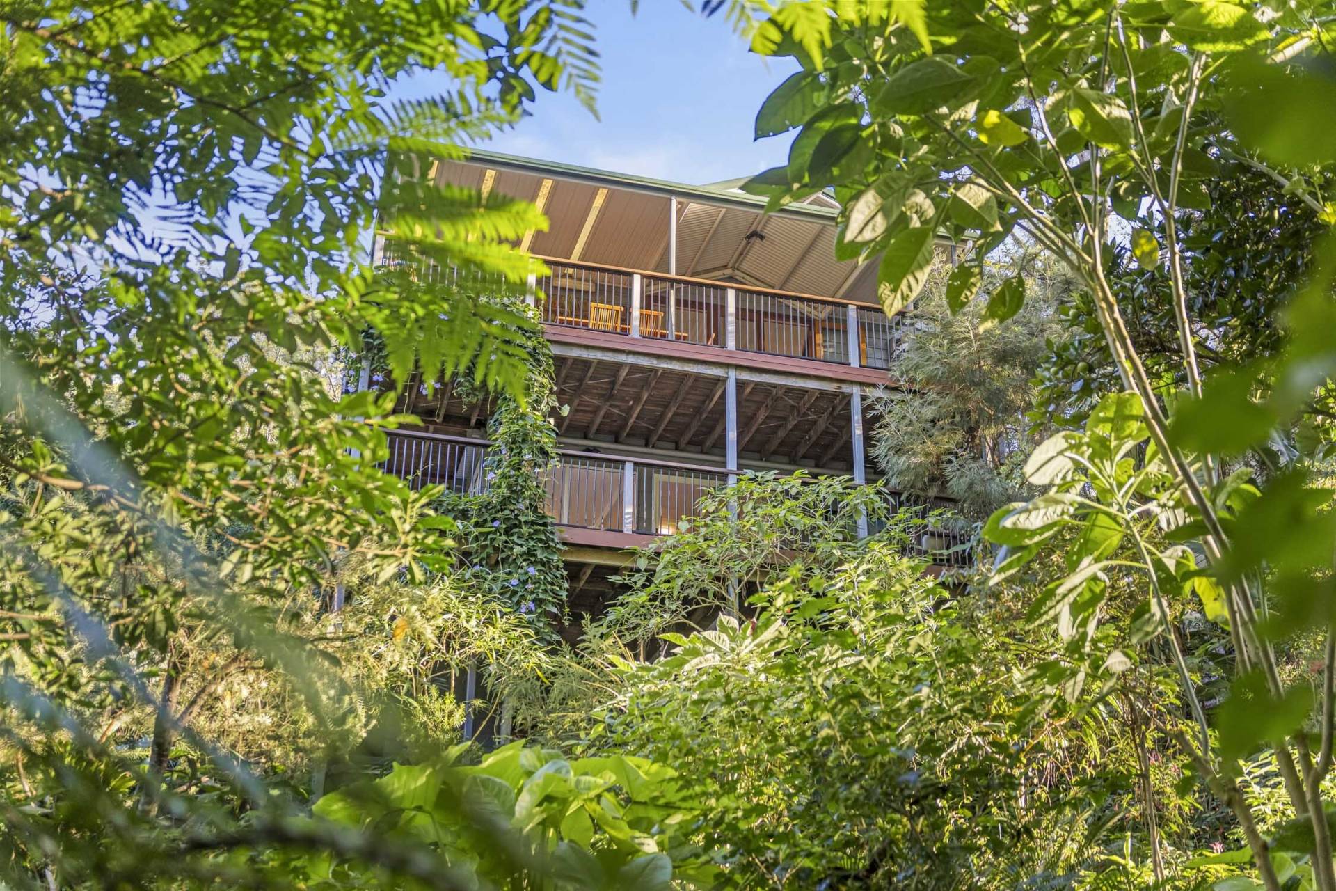 517 Settlers Rd, Lower Macdonald - Image 1