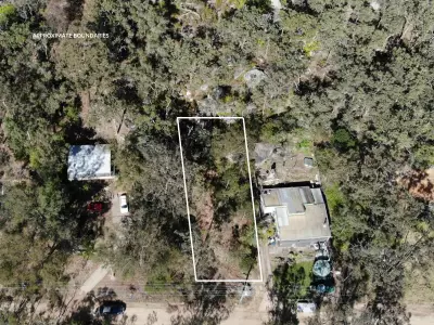 Bruce Hogg testimonial image