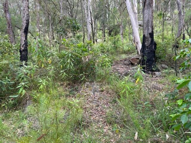 6588 Wisemans Ferry Rd, Gunderman - Thumbnail 6