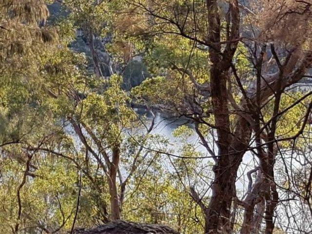 6588 Wisemans Ferry Rd, Gunderman - Thumbnail 4