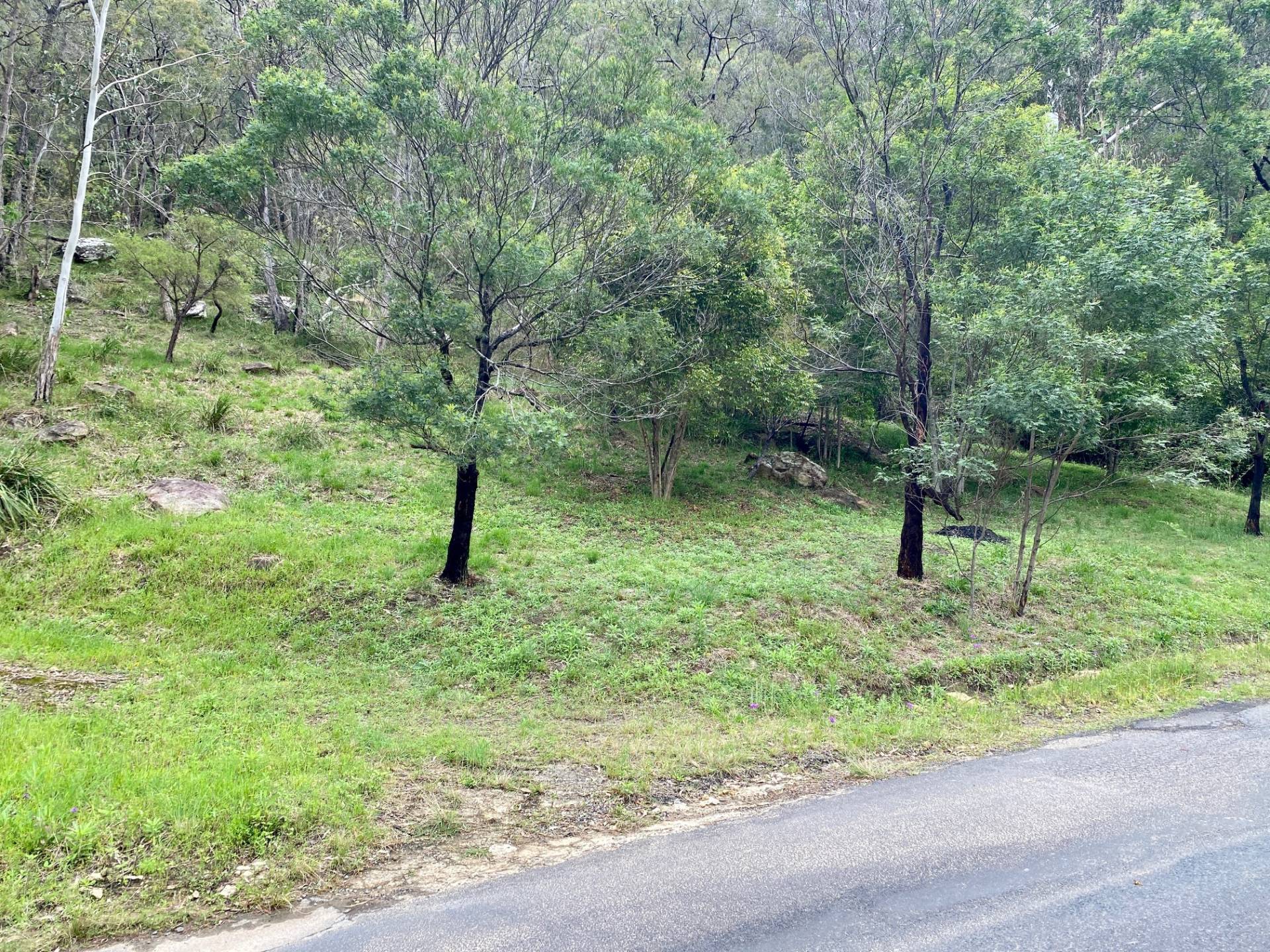 42 Singleton Road, Wisemans Ferry - Thumbnail 8