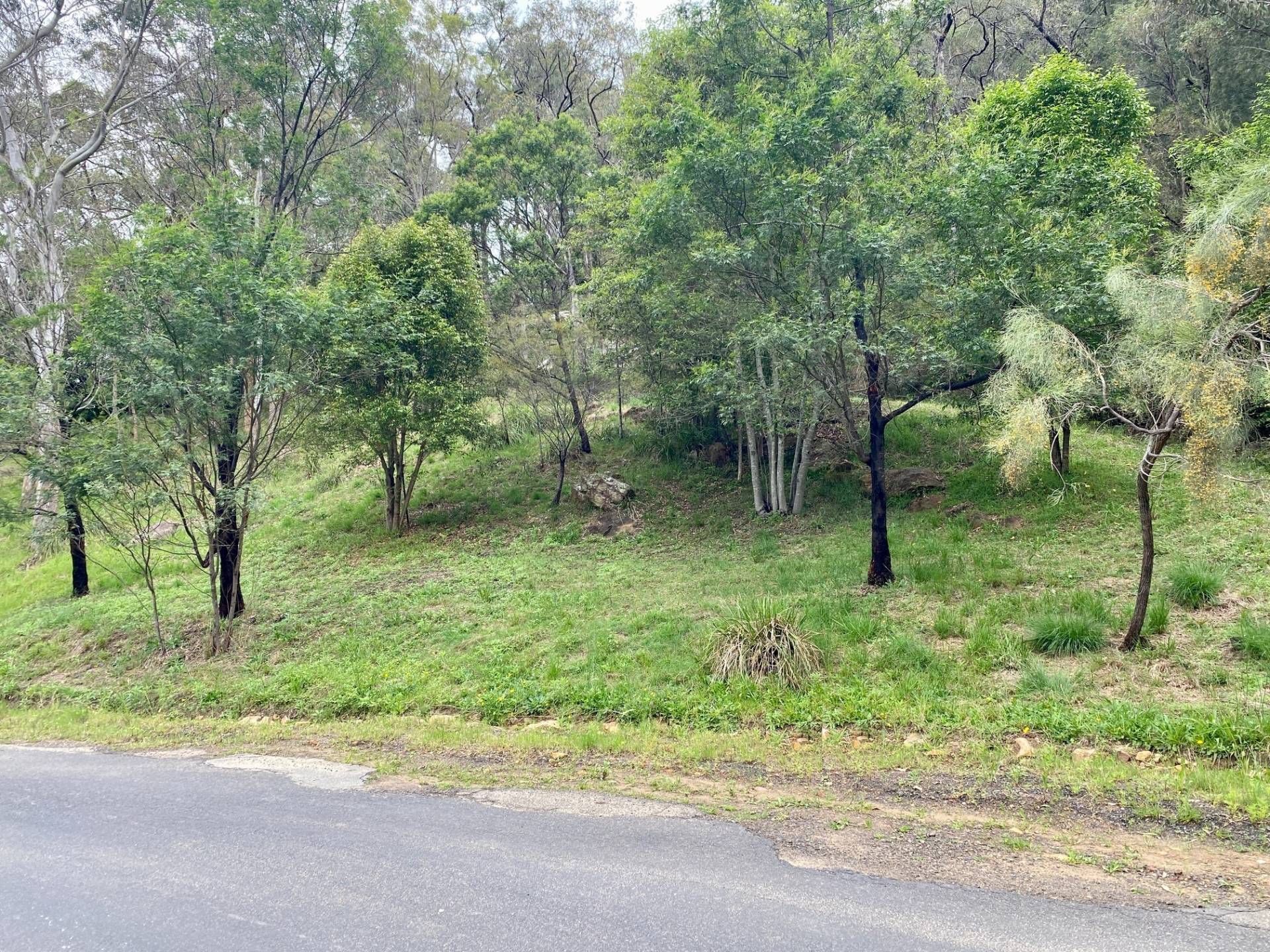 42 Singleton Road, Wisemans Ferry - Thumbnail 3