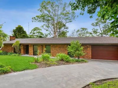 J B testimonial image