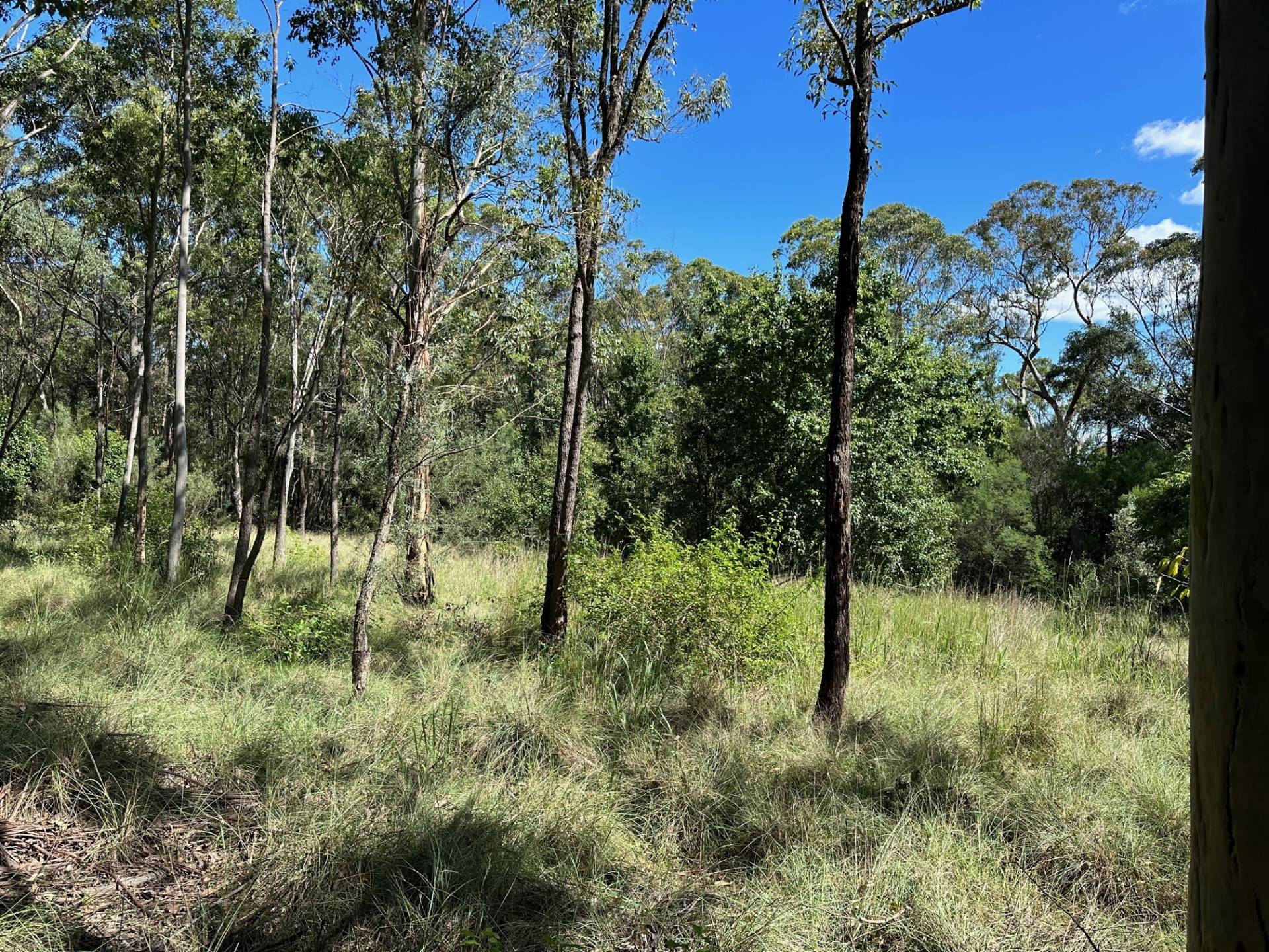 4770 Old Northern Rd, Maroota - Thumbnail 6