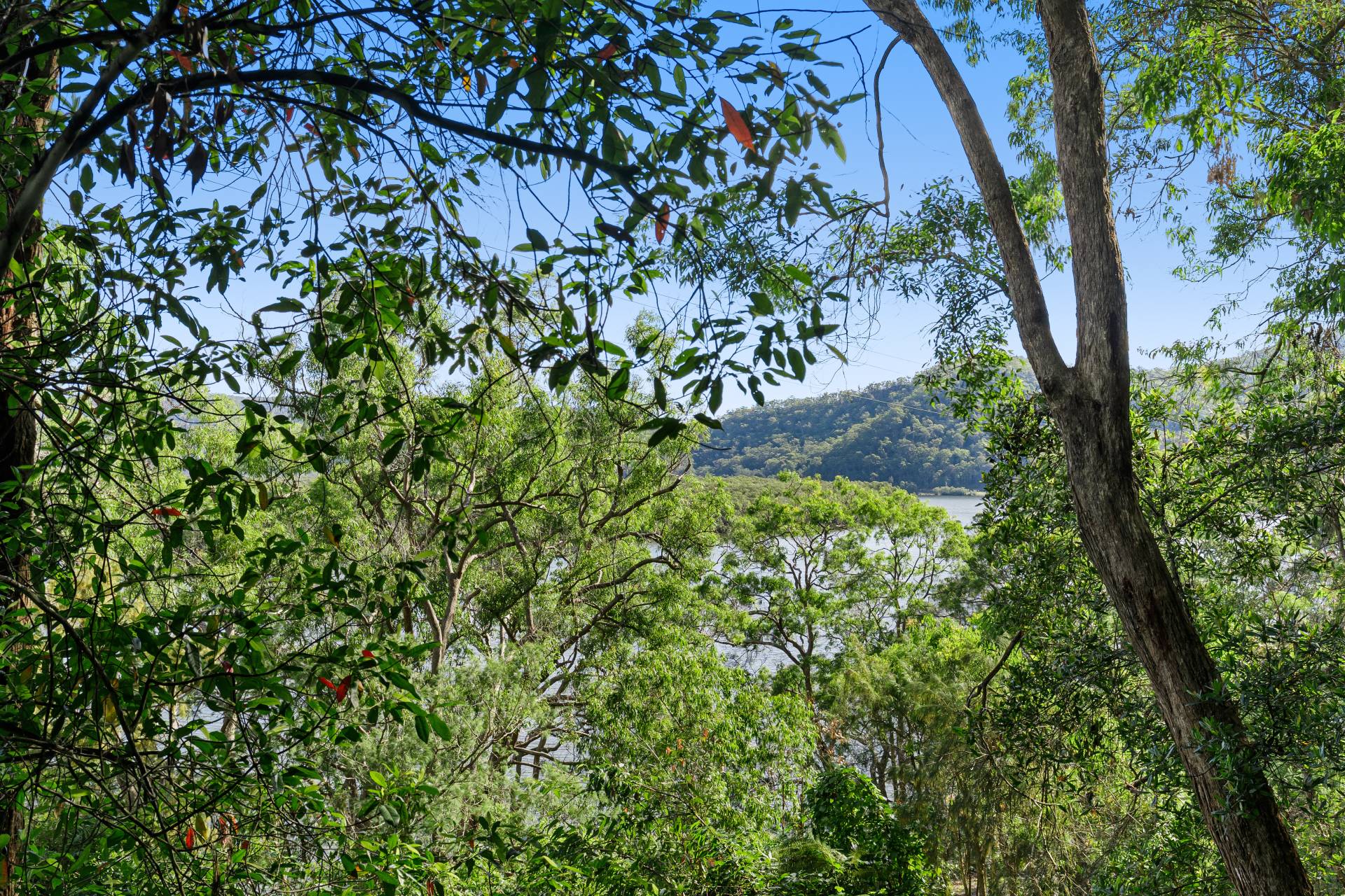 4976-4978 Wisemans Ferry Rd, Spencer - Thumbnail 6