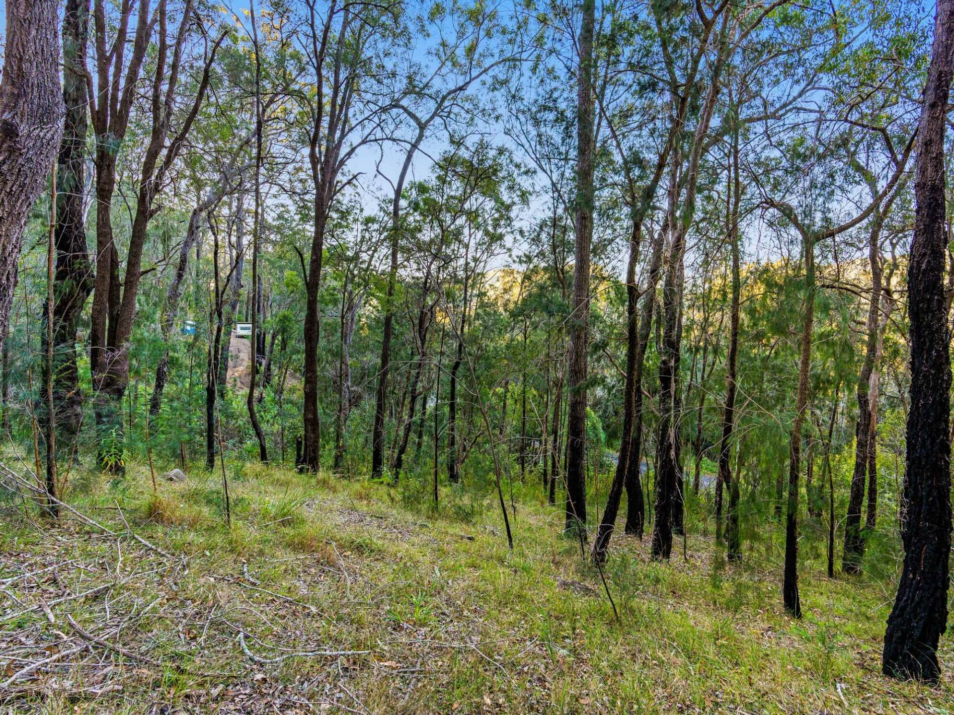 4160 Wisemans Ferry Rd, Spencer - Thumbnail 3