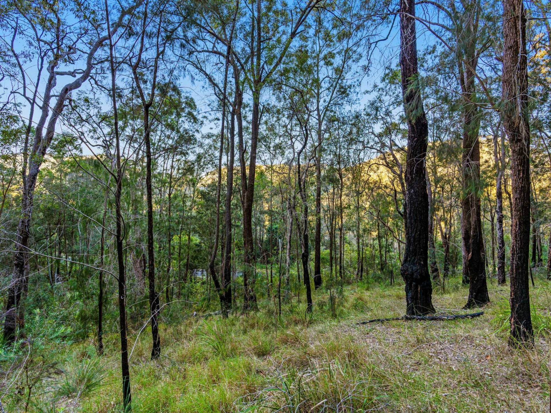 4160 Wisemans Ferry Rd, Spencer - Thumbnail 2