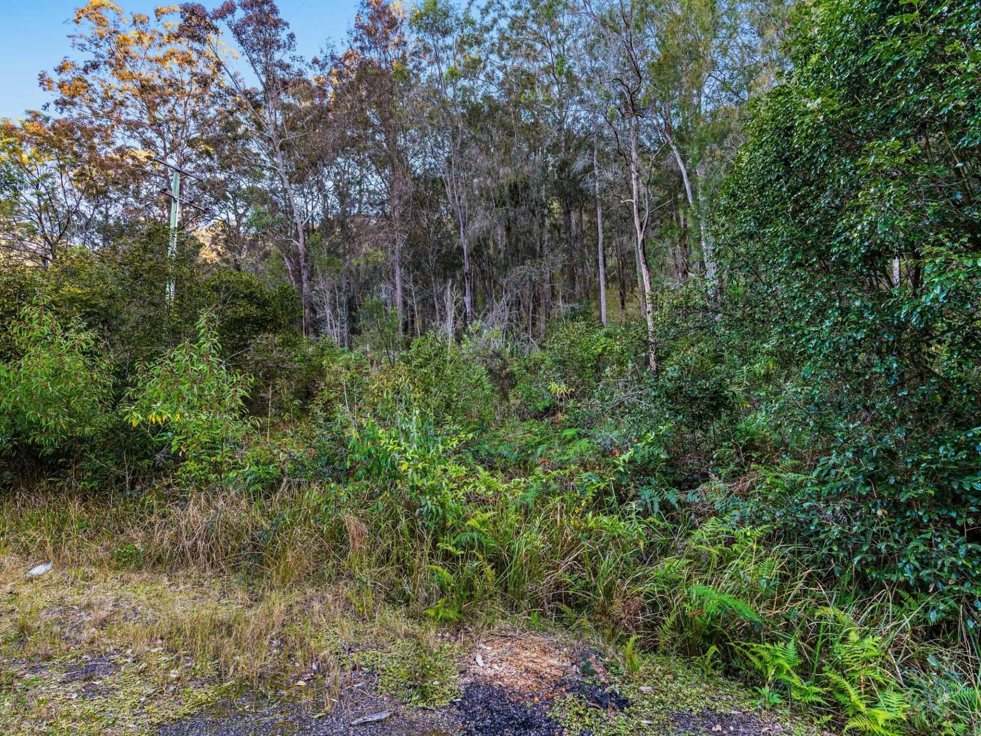 4160 Wisemans Ferry Rd, Spencer - Thumbnail 6