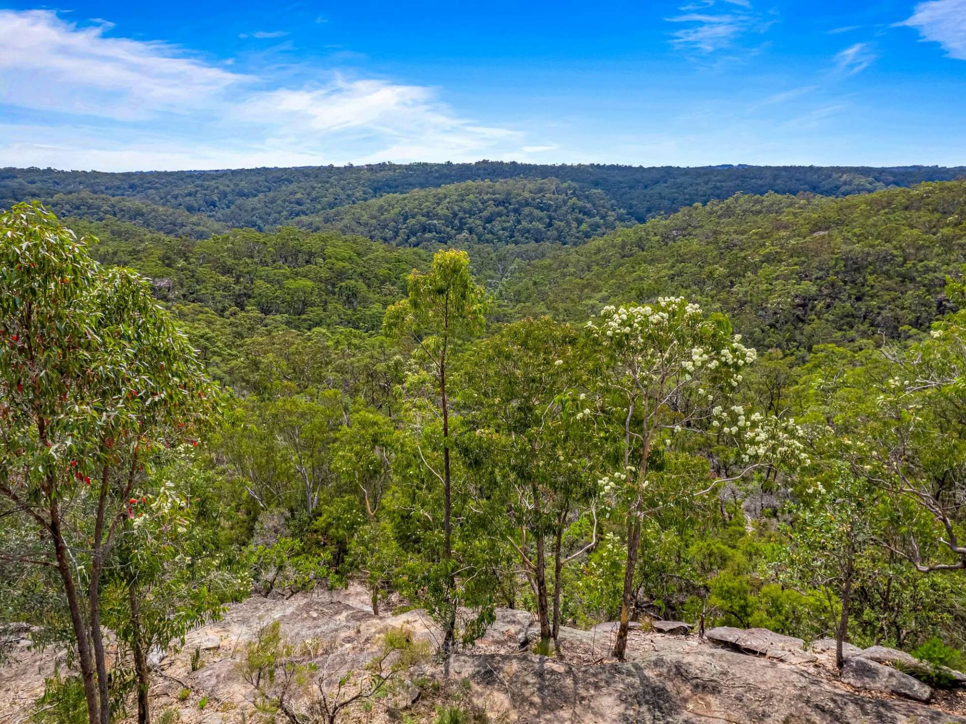 92 Paulls Rd, South Maroota - Thumbnail 4