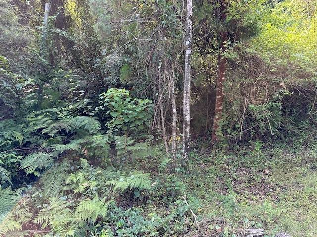 4974 Wisemans Ferry Rd, Spencer - Thumbnail 4