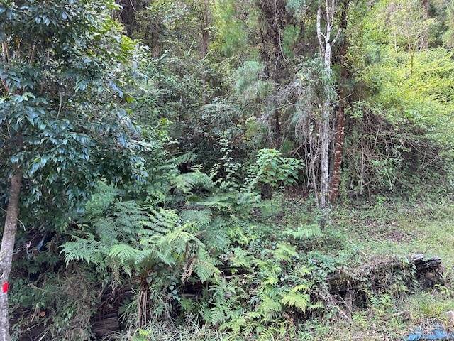 4974 Wisemans Ferry Rd, Spencer - Thumbnail 5
