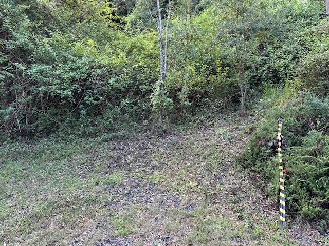 4974 Wisemans Ferry Rd, Spencer - Thumbnail 6