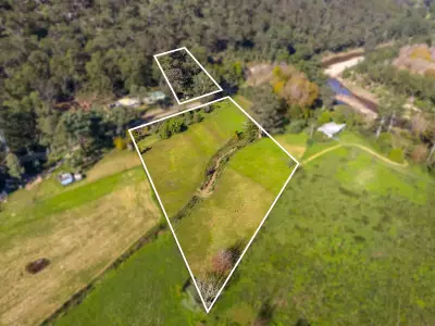 Rosemary Scott testimonial image