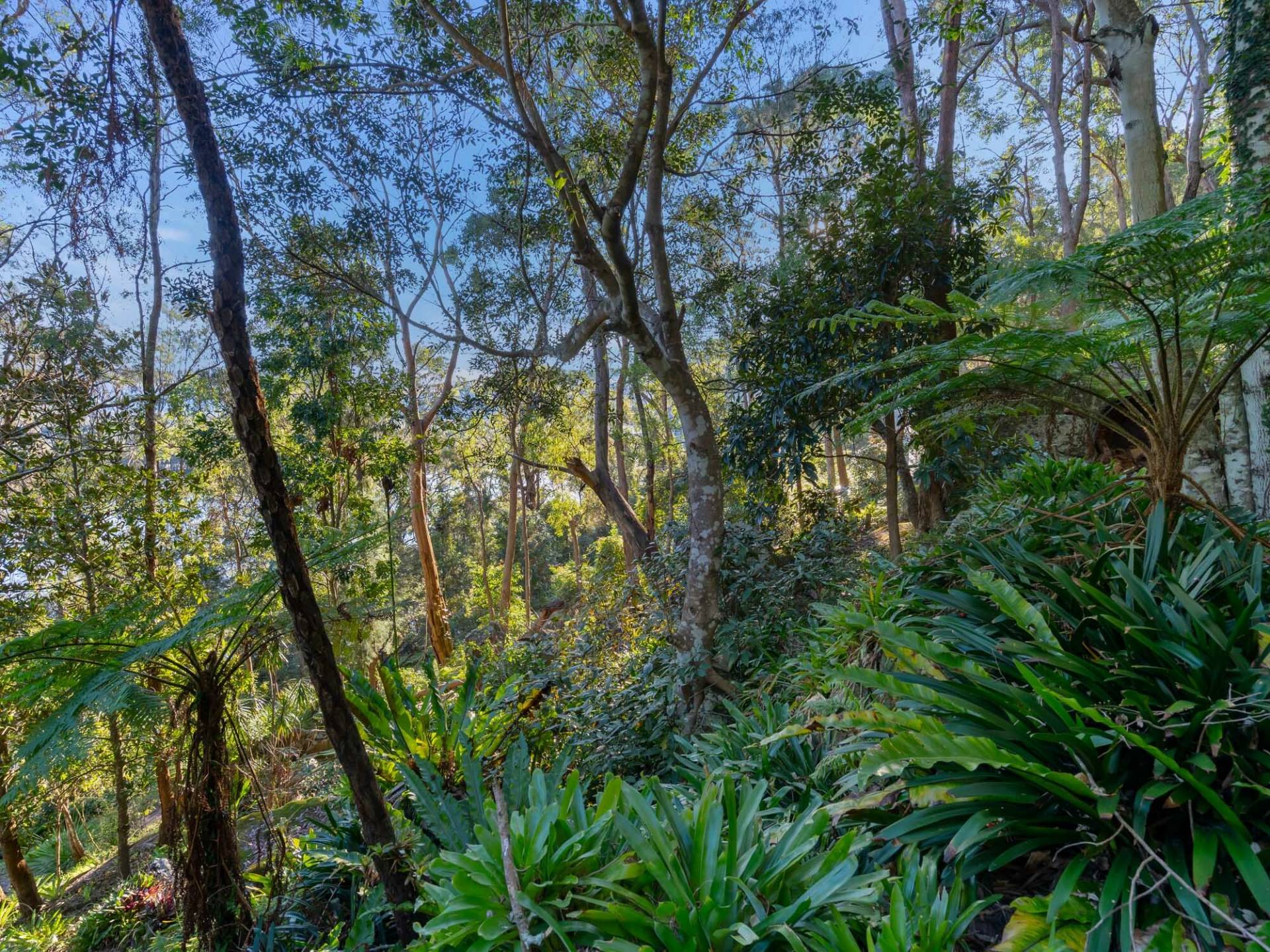 4948 Wisemans Ferry Rd, Spencer - Thumbnail 4