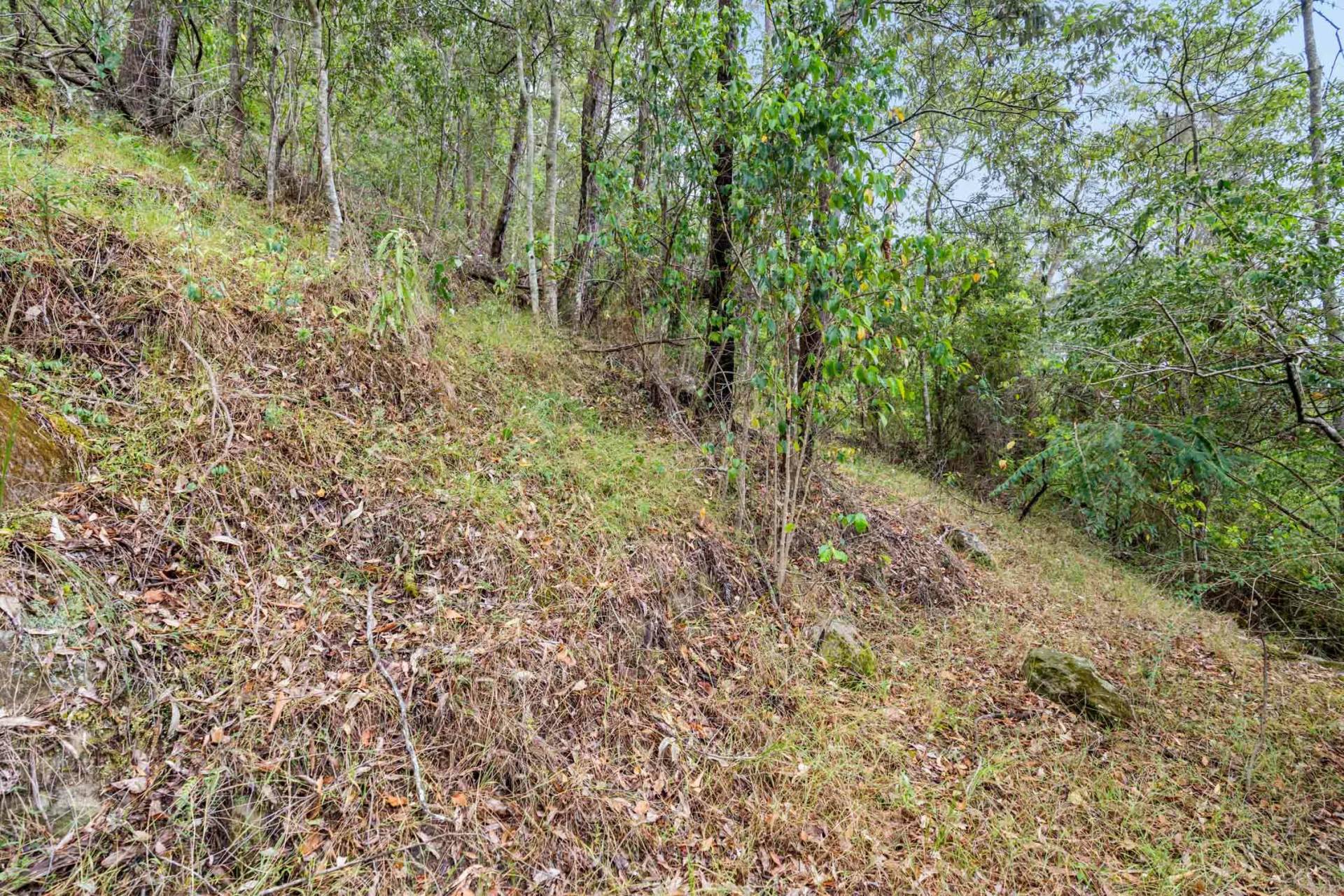 13 St Albans Road, Wisemans Ferry - Thumbnail 4