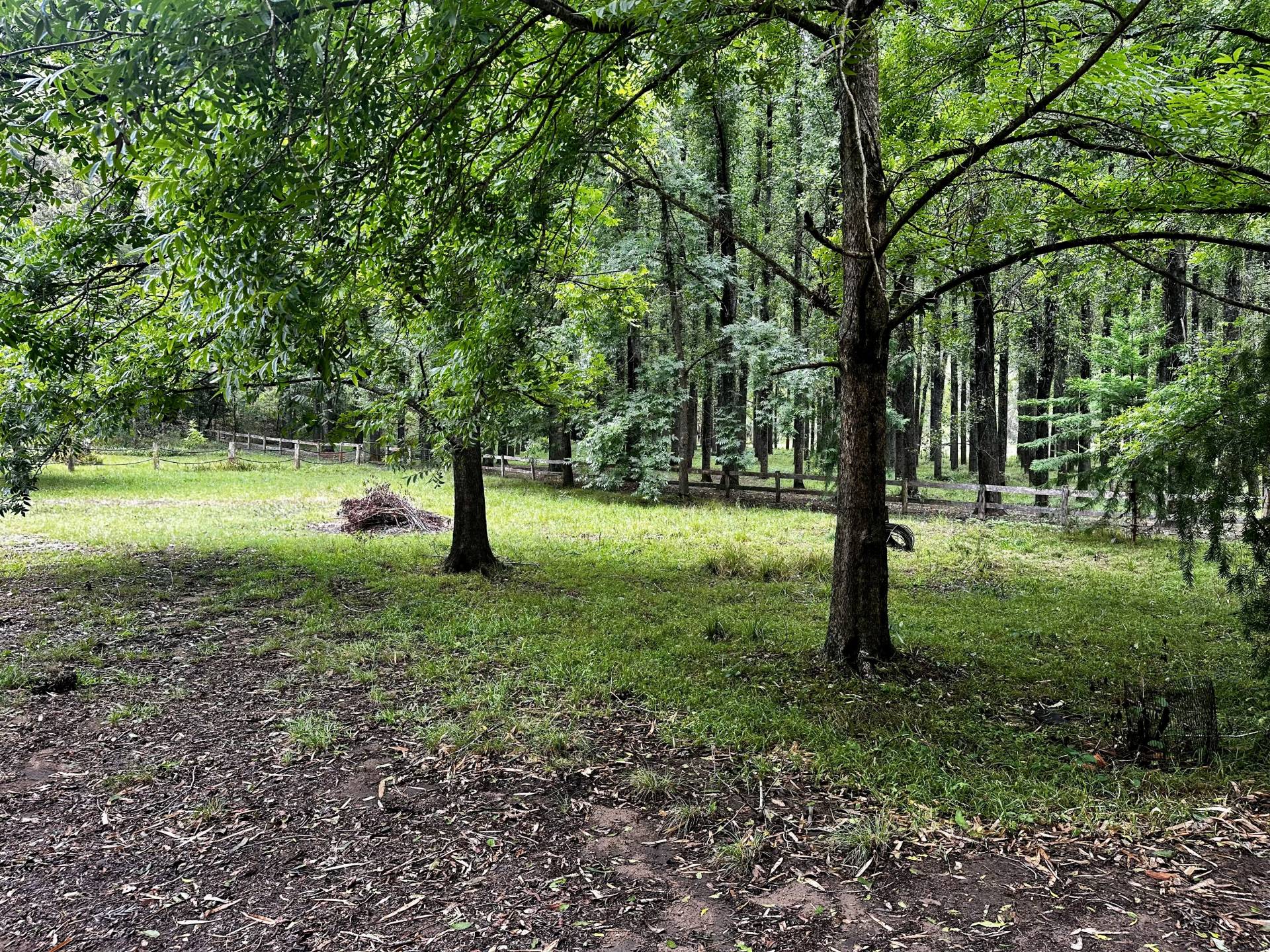 Webbs Creek, Webbs Creek - Thumbnail 8