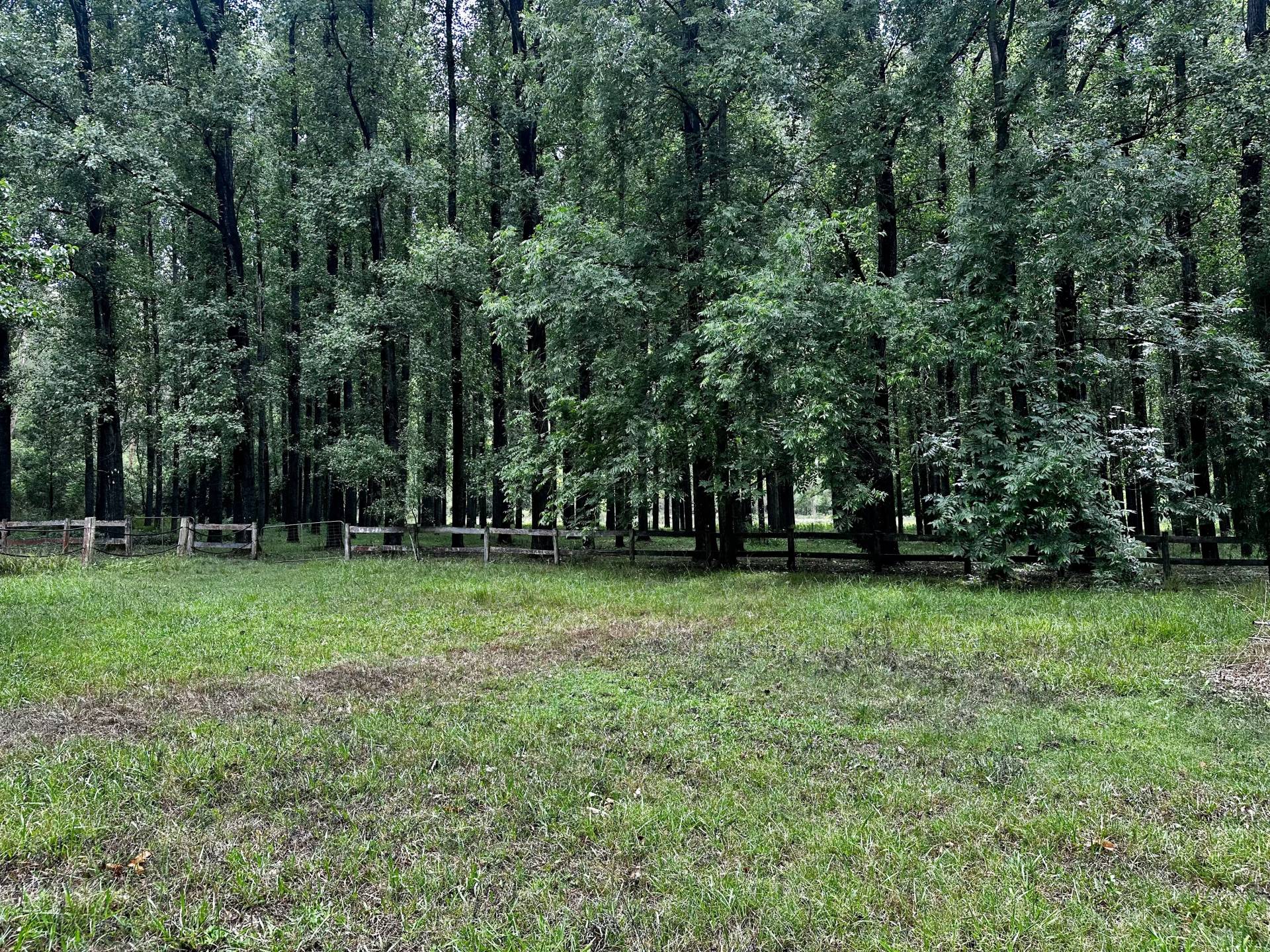 Webbs Creek, Webbs Creek - Thumbnail 7