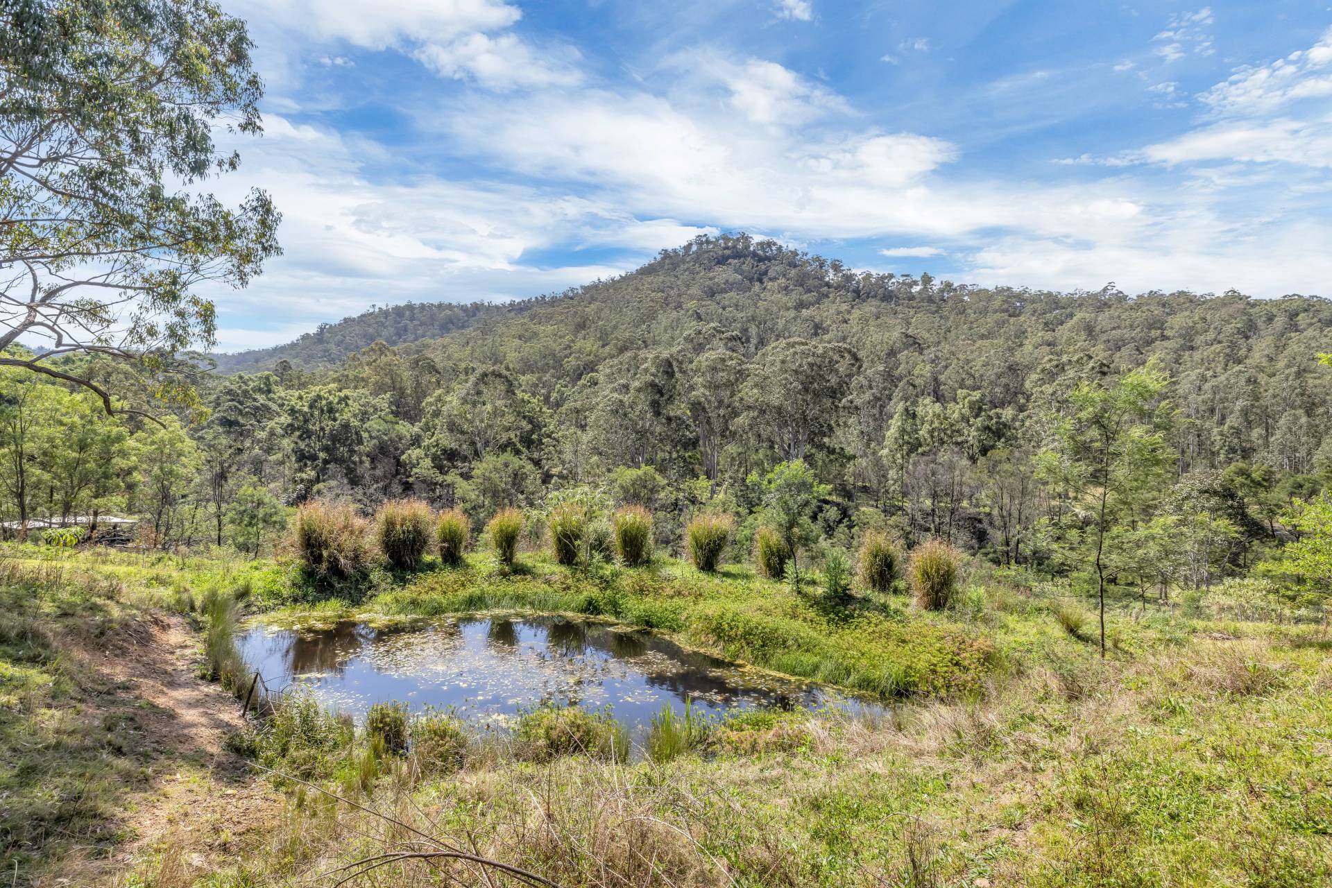 629 Wollombi Rd, St Albans - Thumbnail 5
