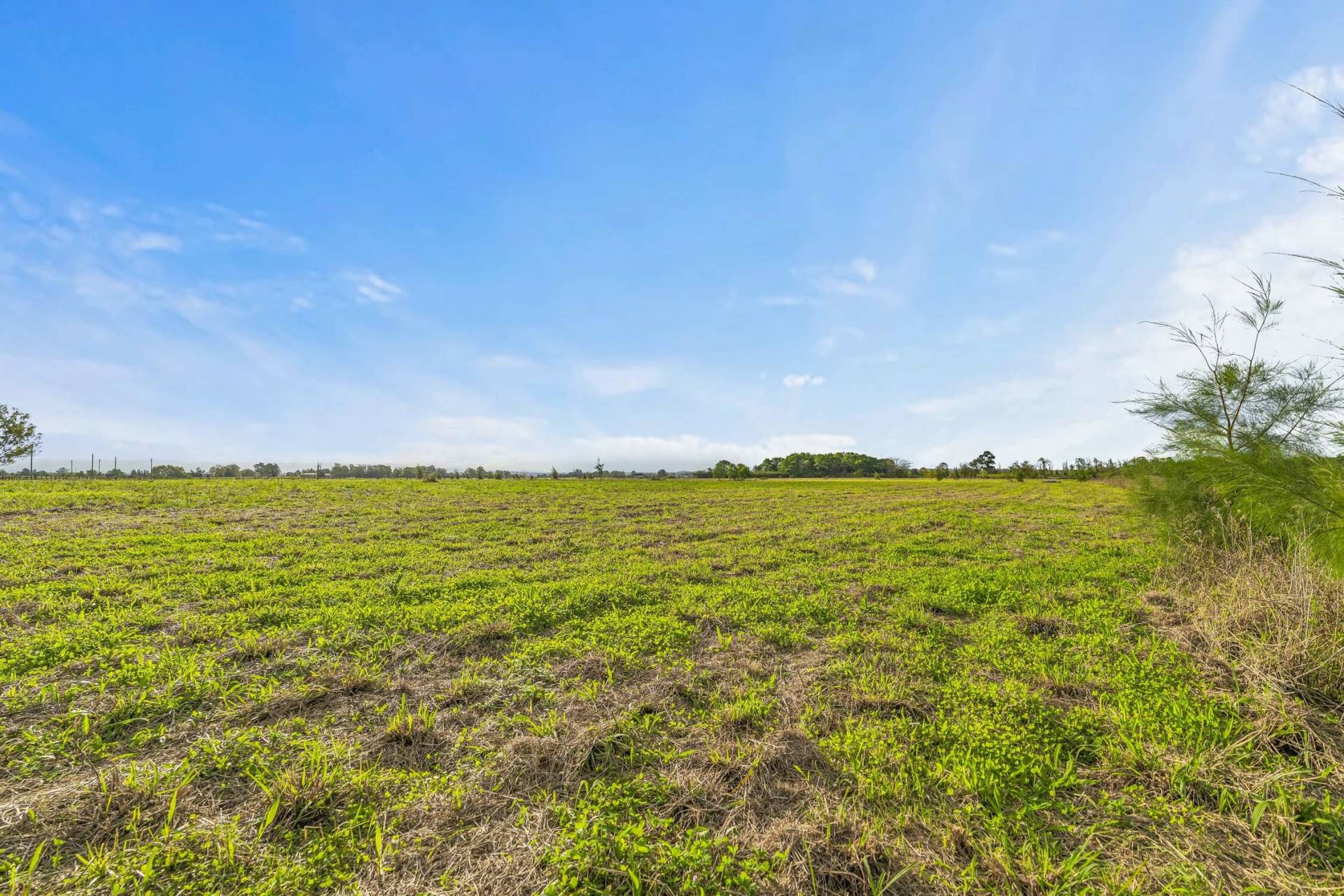 82 Pitt Town Bottoms Rd, Pitt Town Bottoms - Thumbnail 5