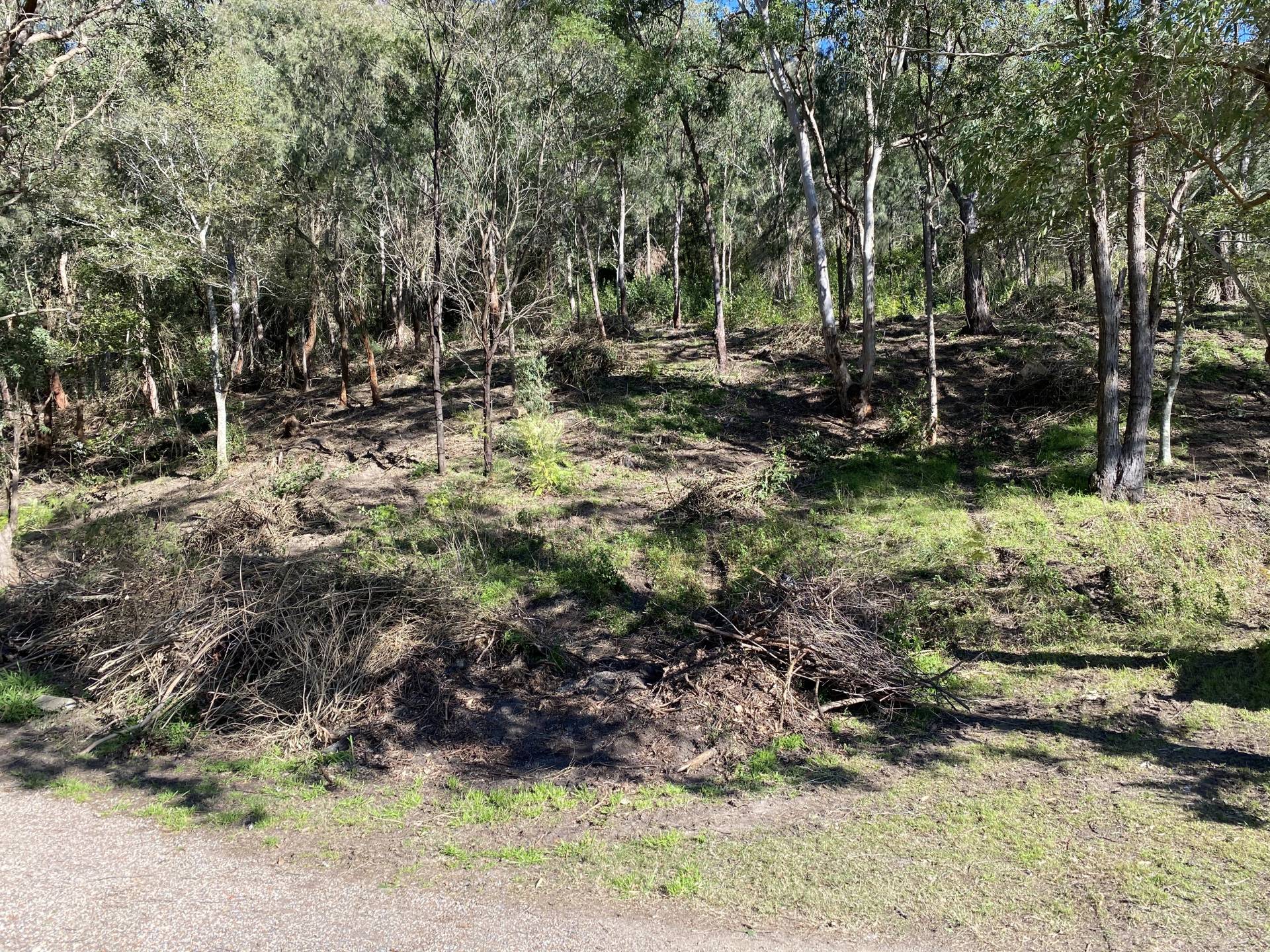 Lot 72, 54a Singleton Road, Wisemans Ferry - Image 1
