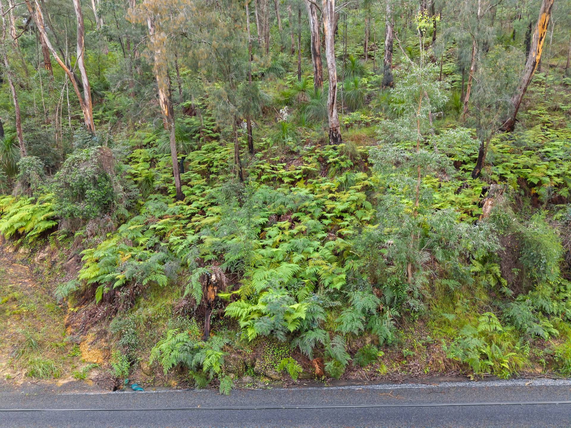 4506 Wisemans Ferry Rd, Spencer - Thumbnail 2
