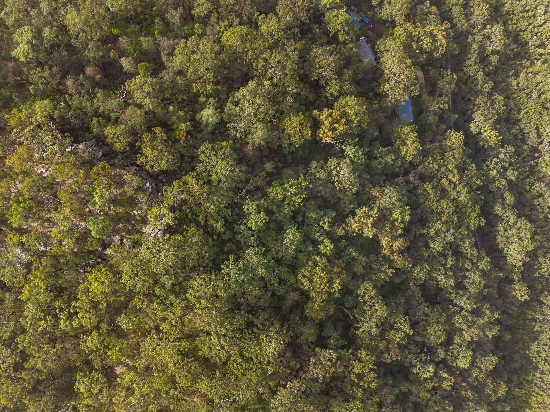 4506 Wisemans Ferry Rd, Spencer - Thumbnail 5