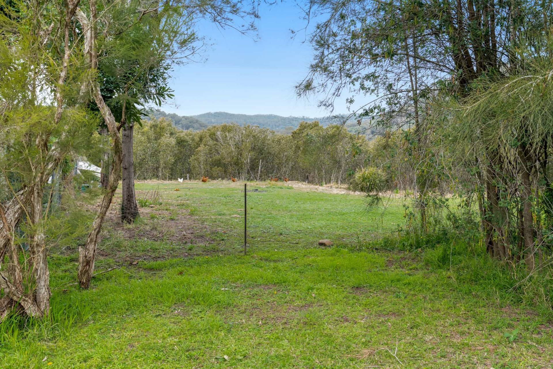 4849 Wisemans Ferry Rd, Spencer - Thumbnail 5